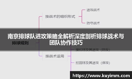 南京排球队进攻策略全解析深度剖析排球战术与团队协作技巧